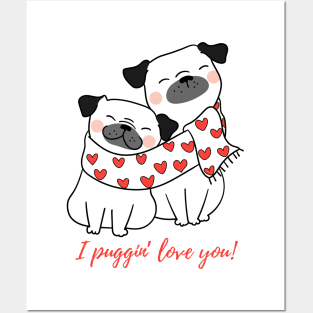 Couple of pugs valentines Posters and Art